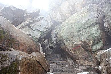 《魔兽世界》10.0资料片巨龙时代公布 预告片分享