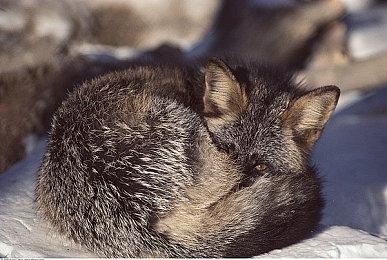 《极限国度》第八赛季滑板预告 9月27日上线